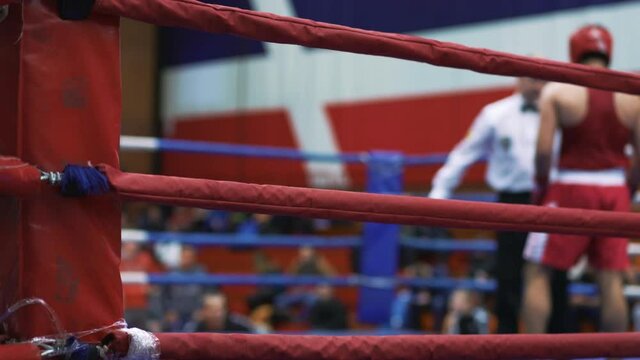 Boxing match in the ring. Two participants competing with each other. The referee watching the fight. Red-blue ring square shape. Boxing tournament. Competitions of fighters in helmets and gloves.