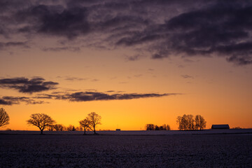 A beautiful sunrise sceney with bare tree silhouettes against the sunrise sky. Early winter landscape of Northern Europe. Bright, colorful scene.