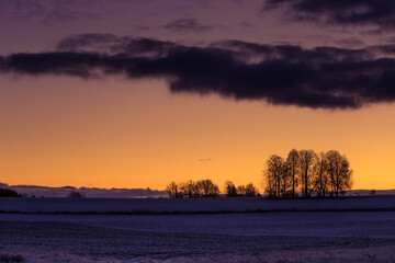 A beautiful sunrise sceney with bare tree silhouettes against the sunrise sky. Early winter landscape of Northern Europe. Bright, colorful scene.