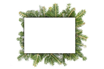 Fir tree branch frame on white