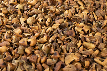 Indian Dry Gundha Also Know as Lisodha, Lasora, Lasoda, Lisoda or Dry Lesua