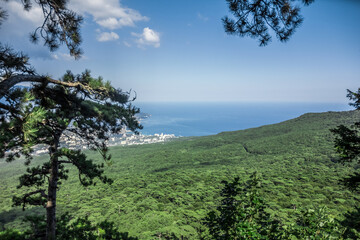Fototapeta premium Crimea. Yalta. Beautiful palaces, green parks and cozy city streets.