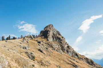 a herd of horses in the reserve in the Caucasus