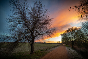 Fototapeta premium paisajes naturales en invierno con luces de la mañana 