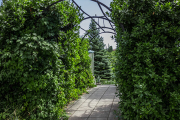 Crimea. Yalta. Beautiful palaces, green parks and cozy city streets.