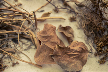 Old, dilapidated, dry, vintage grass.