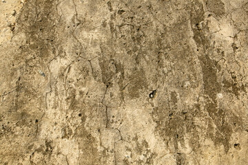 background is a stone texture. Beige old wall