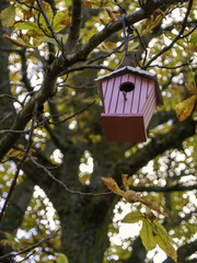 Wooden bird house
