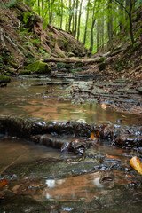 Water flowing in a small stream at Elendsklamm in the Palatinate Forest of Germany.