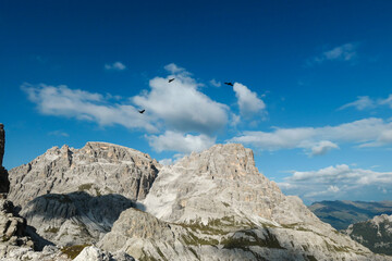 A bird flying over the valley in Italian Alps. The valley is surrounded by high and steep peaks. The slopes are lush green. Few soft clouds on the sky. Raw landscape. Remedy and freedom