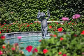 Fototapete bei efototapeten.de bestellen   