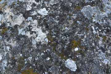 Cold stone with large cracks and scratches. Concept Design Background