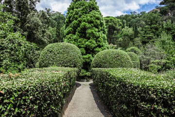 Fototapeta premium Crimea. Yalta. Beautiful palaces, green parks and cozy city streets.