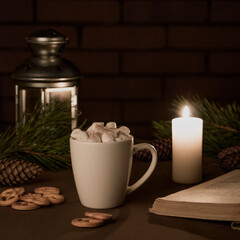 Cup with marshmallows, lantern, fir branches, cookies and a book on a dark background.