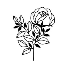 Hand drawn vector feminine logo design line art. Rose flower and botanical leaf branch illustration. Symbols and icon for wedding, business card, cosmetics, jewel, brand, and beauty products