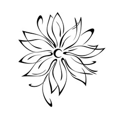 ornament 1415. one stylized full blooming flower without a stem in black lines on a white background