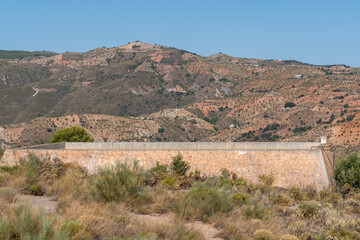 Empty pool surrounded by vegetation