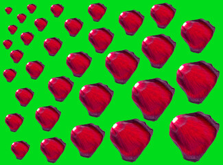 Red rose petals isolated on a green