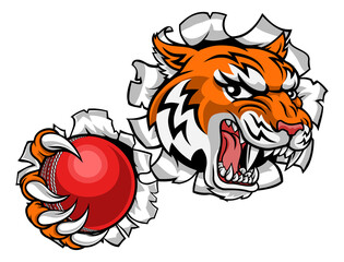 A tiger cricket player cartoon animal sports mascot holding a ball in its claw