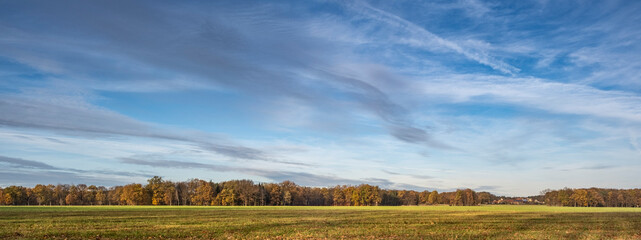 The landscape near Neschwitz, shaped by meadows and forests