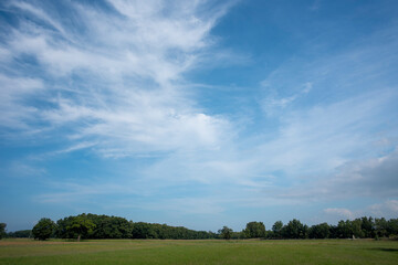 field and blue sky
