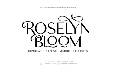 Classic lettering minimal fashion designs. Elegant alphabet letters font and number. Typography fonts regular uppercase, lowercase, alternate, and ligatures. Vector illustration design.