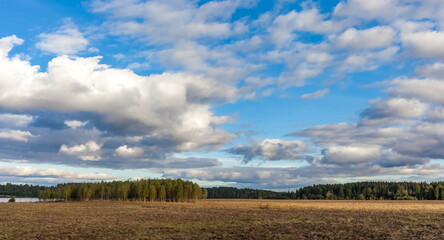 Field with mown grass on the background of the forest and the sky with clouds in summer