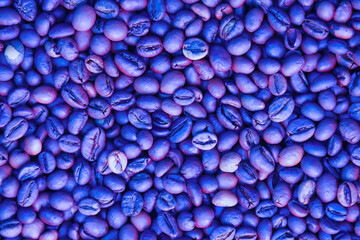 Coffee beans in neon light background, abstract coffee texture