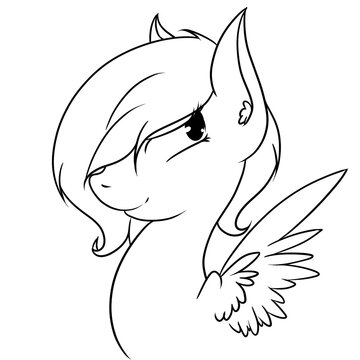 Pony portrait