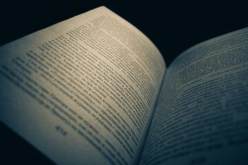 Fototapeta premium reading books in black and white mood 