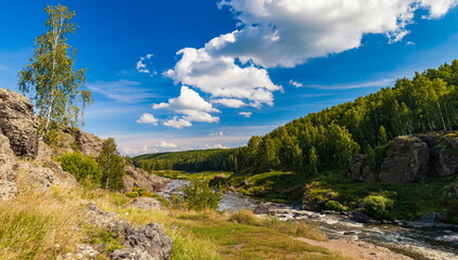 Fast river with rocky banks, overgrown with trees in summer