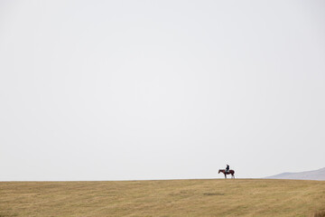 Obraz na płótnie Canvas Shepherd on a horse on the hill. Loneliness. Farming