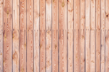 Old wooden background. Wooden wall with a row of nails