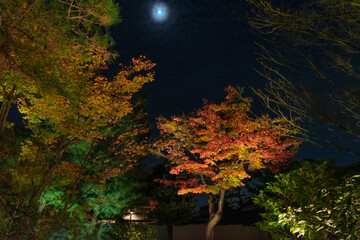 高台寺
