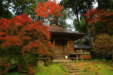 世界遺産　紅葉の中尊寺