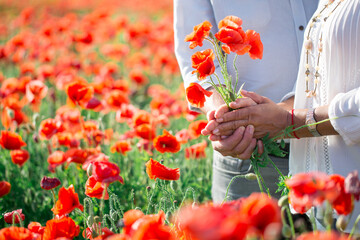 bouquet of poppies in the hands of an elderly person