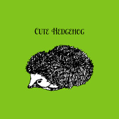 A black-and-white hedgehog drawn with a pen. Sketch portrait. Doodle style. An animal from the forest. Vector illustration for web design or print.