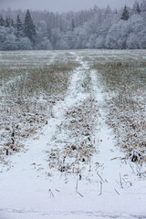 Pathway trought first snow covered  field