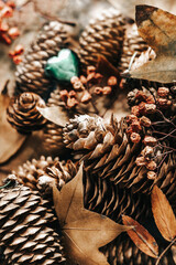 pine cones and glass decorations. autumn still life with glass heart, yellow leaves and pine cones. green heart on a background of yellow and green leaves and dried rowan berries
