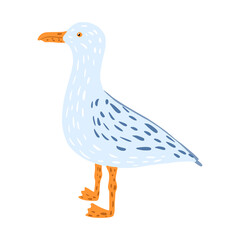 Gull standing isolated on white background. Funny cartoon character hand drawn sea nature.
