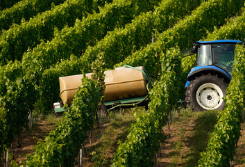 Blauer Traktor mit einem Wassertank in den Weinbergen © Studio Wilkos