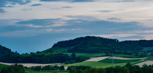 Blick auf die Weinberge und Wald am Abend in Erlenbach in Baden-Württemberg