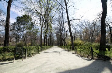 Spaziergang durch den Park