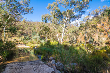 Onkaparinga River National Park walking trail on a bright day