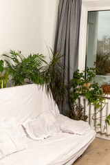 Green house plants behind the sofa, part of the interior, healthy space for rest and work, biophilic design
