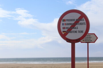 Sign forbidden animals on the beach - prohibition sign