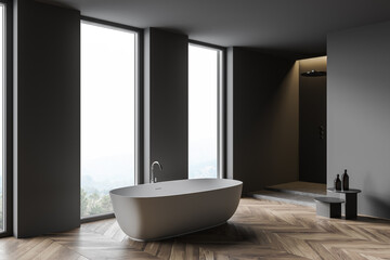 Fototapeta na wymiar Modern gray bathroom corner with tub