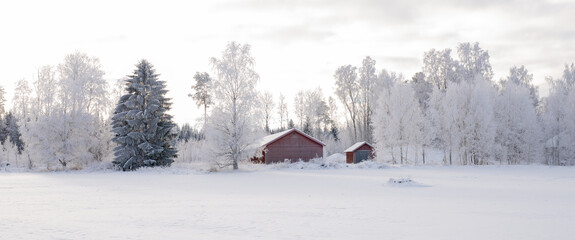 Small wooden barn with a trees in a frosty morning - 397594094