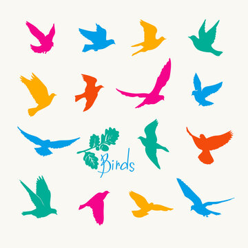 Illustration of birds silhouettes. Set