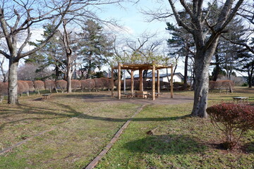 おいらせ　いちょう公園